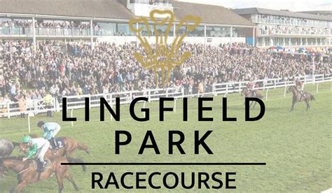 horse racing results lingfield|Lingfield Park Racecourse Guide & Fixtures .